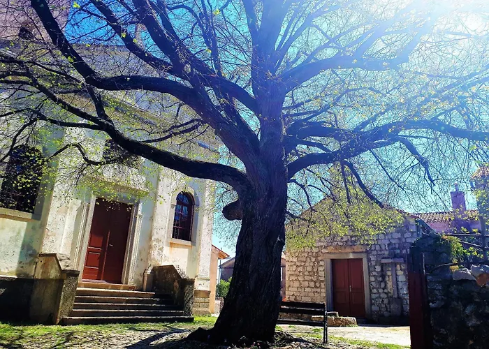 Oda ve Kahvaltı Pansion Tramontana 3*