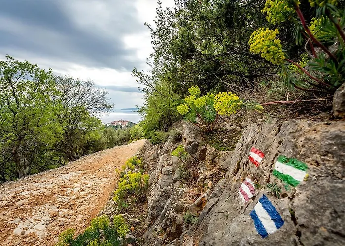 Oda ve Kahvaltı Pansion Tramontana 3*