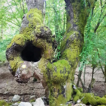 Pansion Tramontana Penzion