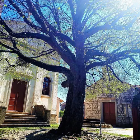 Guest house Pansion Tramontana 3*