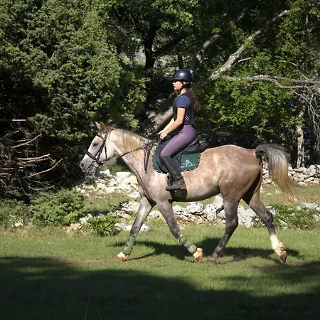 Pansion Tramontana Πανσιόν 3*