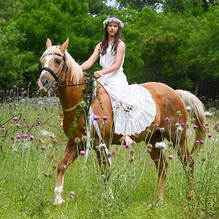 Πανσιόν Pansion Tramontana 3*