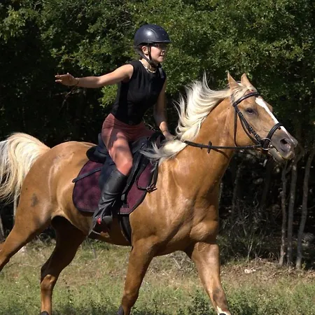 Pansion Tramontana Πανσιόν Beli