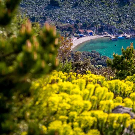Pansion Tramontana Πανσιόν
