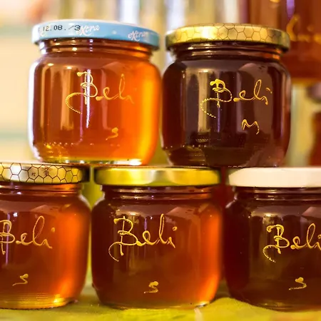 بيت ضيافة Pansion Tramontana 3*