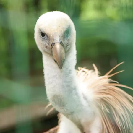 بيت ضيافة Pansion Tramontana 3*