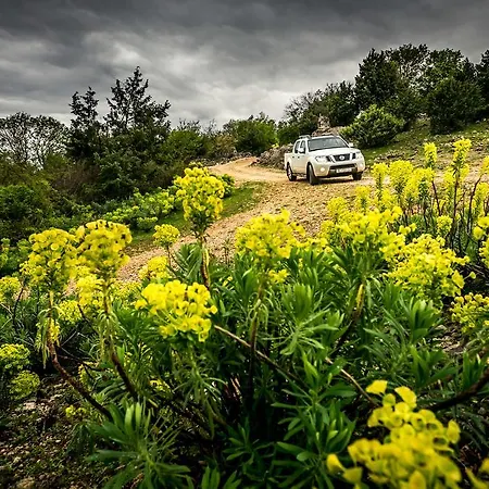 Pansion Tramontana 3*