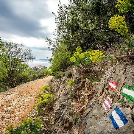 بيت ضيافة Pansion Tramontana 3*