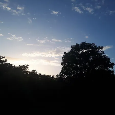 Pansion Tramontana بيلي