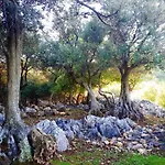 Pansion Tramontana Eco & Sea View In Beli, Cres Beli