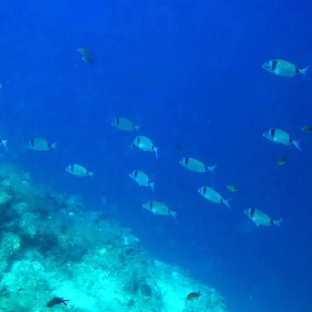 Pansion Tramontana Гостевой дом 3*